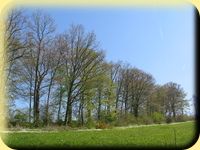 Paysage