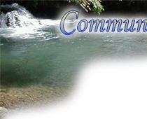 www.valdesaane.com